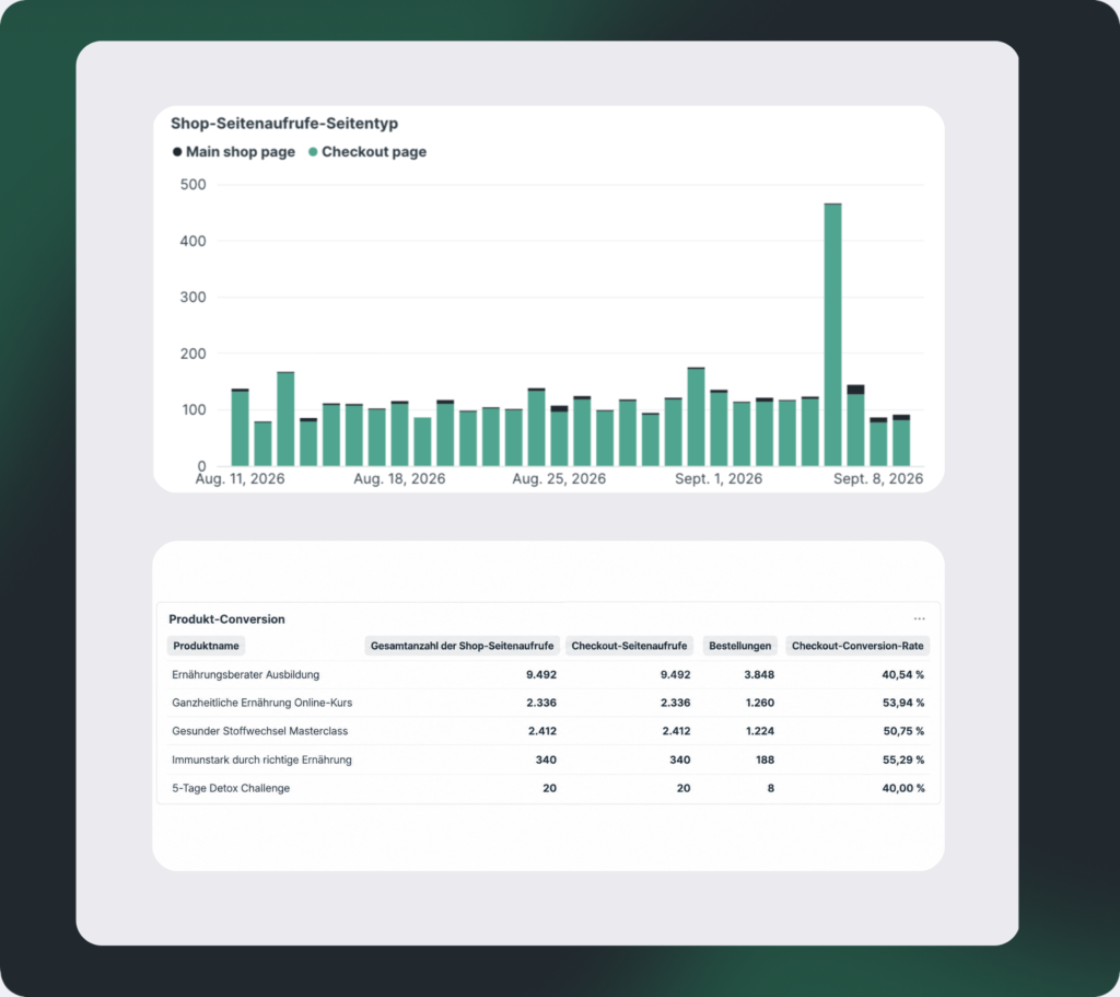 Beispiel Dashboard Traffic & Conversion